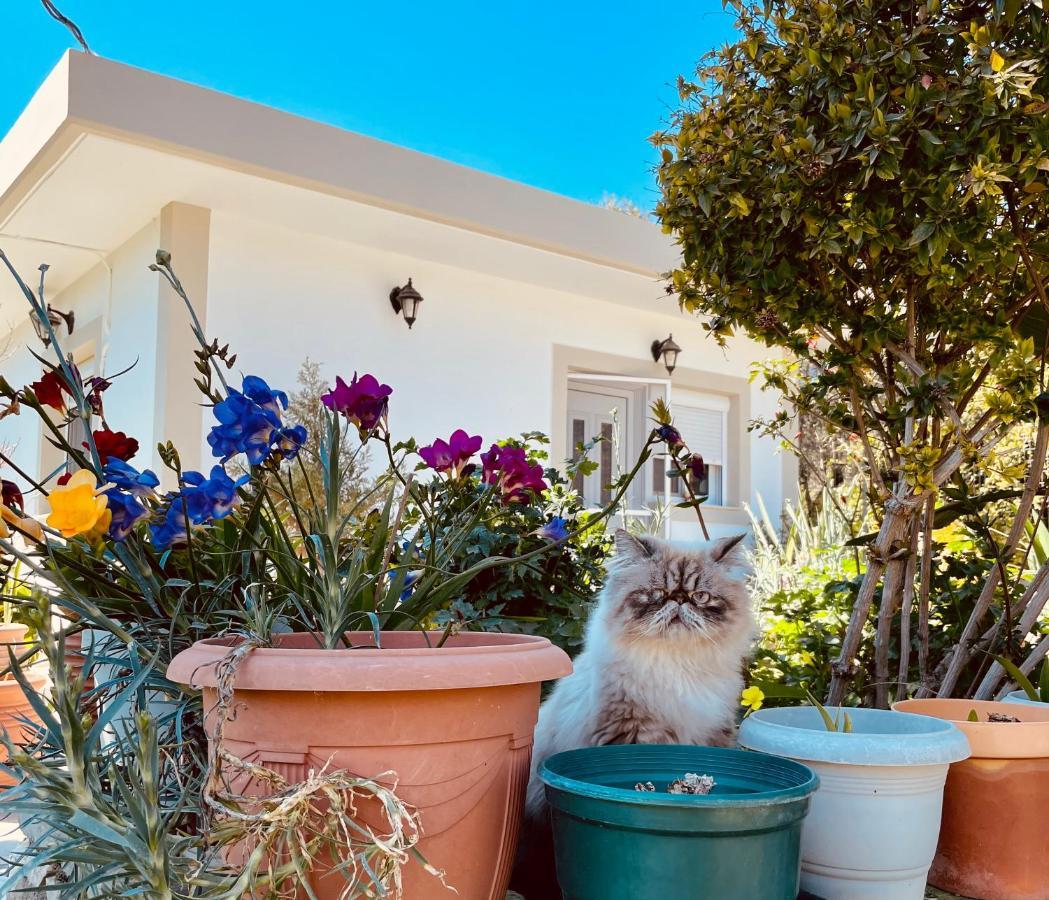Archangelos Garden House المظهر الخارجي الصورة