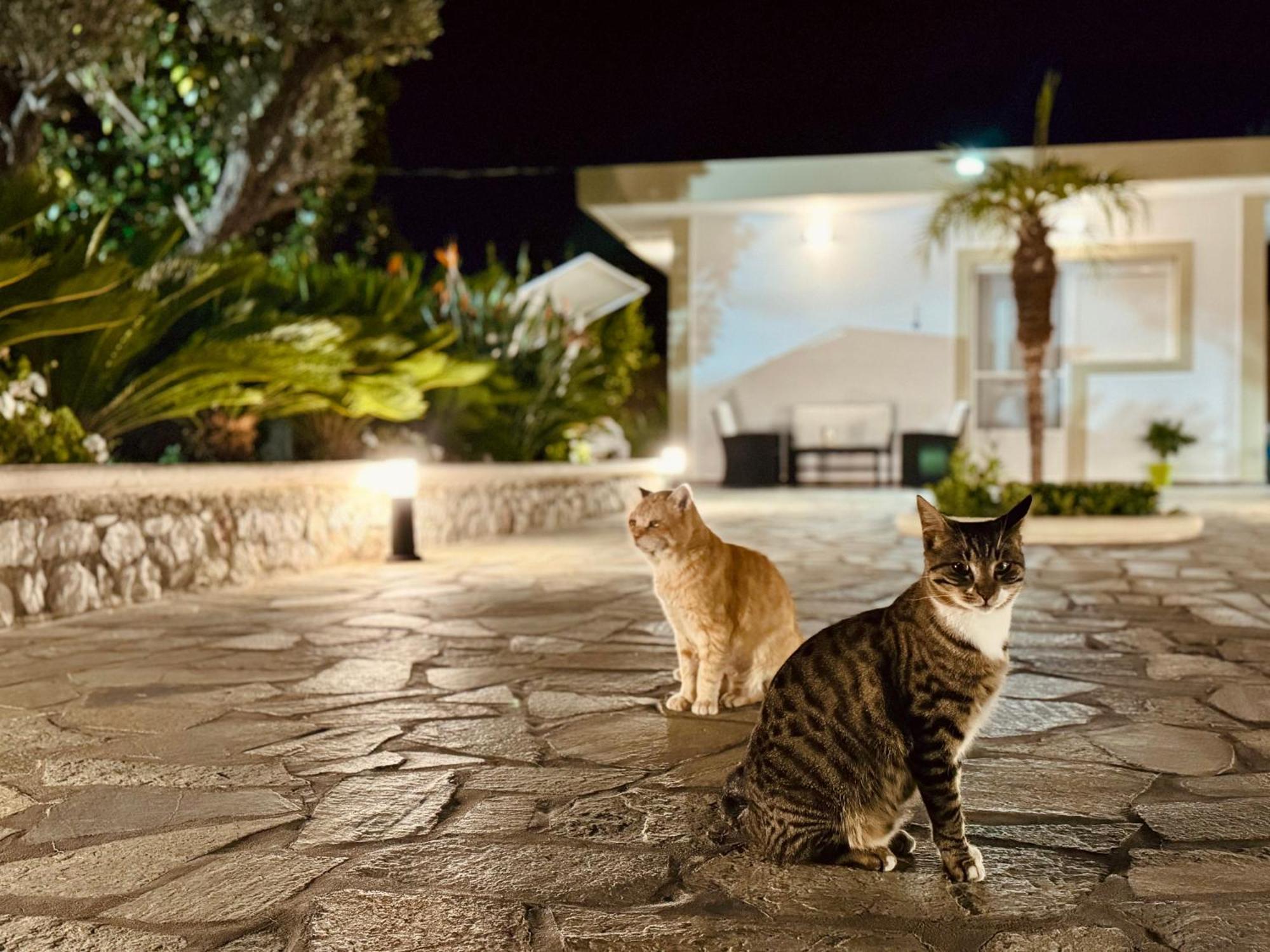 Archangelos Garden House المظهر الخارجي الصورة